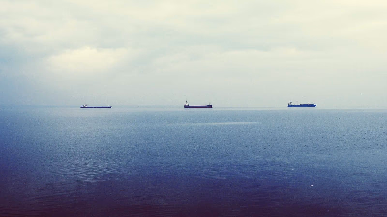 Tamil Nadu Records 85% Turnout in 2026 Assembly Polls Marred by Scattered Violence